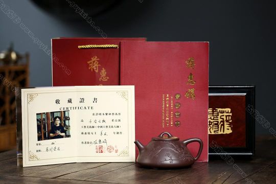 瓣生香獨傲寒，此梅難并眾梅看。 【