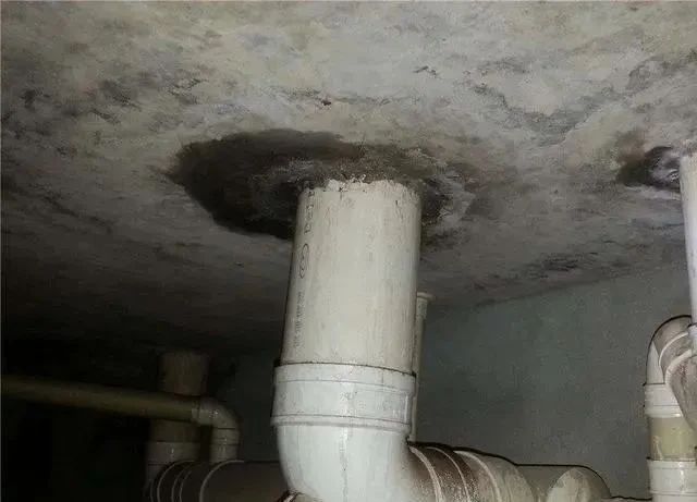 1703472893585569AVsB.jpg 2.jpg